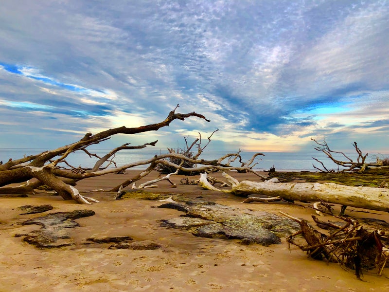 Boneyard Beach Florida State Parks